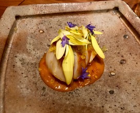Roasted scallop, sea urchin “hot sauce”, finger lime, chrysanthemum and spruce shoots
