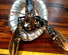 Lobster from Oosterschelde