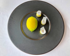 Vision of a Riviera lemon, flavoured with thyme 