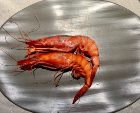 Prawns of Palamós 