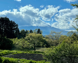 Ever changing view of Mount Fuji