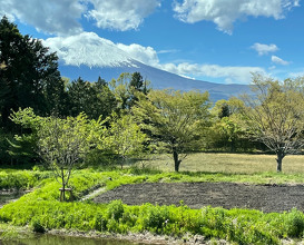 Ever changing view of Mount Fuji