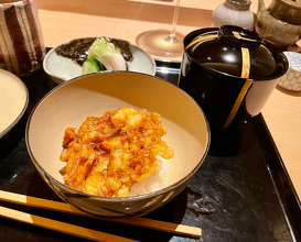 Dinner at Tempura Nitome (にい留)