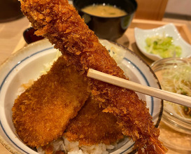 Dinner at 新潟カツ丼タレカツ心斎橋店