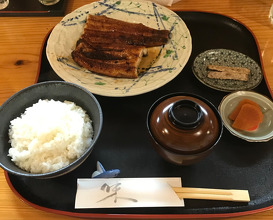 Lunch at Eel Mitsuru