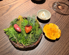NOMA pop up at the ACE Hotel in Kyoto