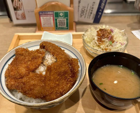 Dinner at 新潟カツ丼タレカツ 心斎橋店