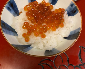 Dinner at Kappo Suzuki (割烹 すずき)