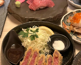 Dinner at 魚屋 めのじ 梅田店