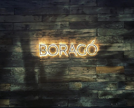 Dinner at Boragó Restaurante