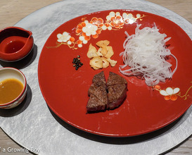 Teppanyaki dinner at The Ukai
