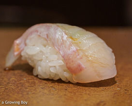 Lunch at Sushi Tsubasa (寿司 つばさ)