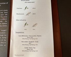 Dinner at Restaurant David Toutain