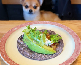 Dinner at Los Tacos Azules (Tokyo)