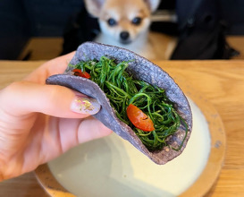 Dinner at Los Tacos Azules (Tokyo)