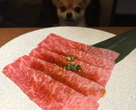 Dinner at 焼肉ぽんが 田町店