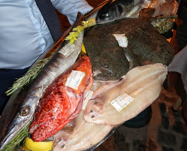 Dinner at Villefranche-sur-Mer