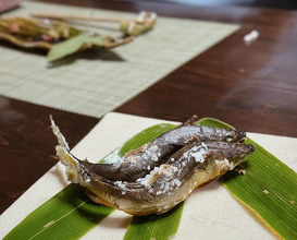 Dinner at かたつむり  摘み草料理