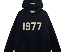 Essentials hoodie