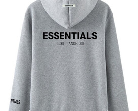 Essentials hoodie