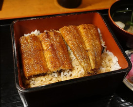 Dinner at 炭焼きうなぎの魚伊