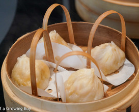 Dim sum lunch at Moon Bay