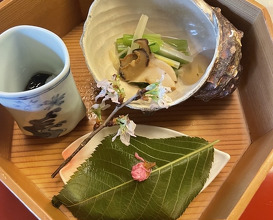 Lunch at Tofu Ukai