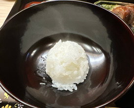 Lunch at Kataori (片折)
