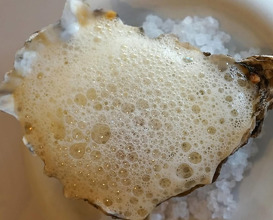 Dinner at Restaurant Codium