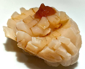 Dinner at 鮨 青海 北新地