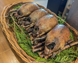 Dinner at Restaurant UOZEN
