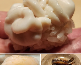 Dinner at 近松