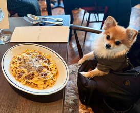 Dinner at spigola