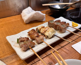 Dinner at Shikotama.