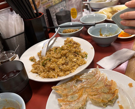 Dinner at Wang Gyoza
