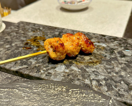 Dinner at Torisawa 22
