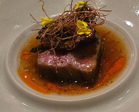 Dinner at Restaurant FZN