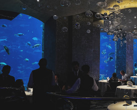 Dinner at Ossiano Dubai