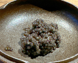Dinner at ザ サカイ tha sakai