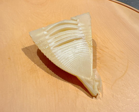 Dinner at ザ サカイ tha sakai