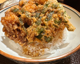 Dinner at Tempura Asanuma (天ぷら浅沼)