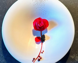 Dinner at Verso Ristorante