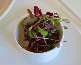 Dinner at Restaurant Kasteel Heemstede