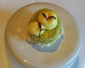 Dinner at Restaurant Hofstede De Blaak