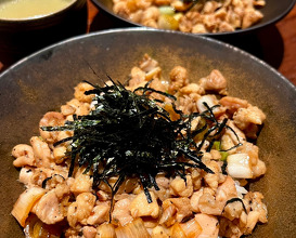 Dinner at 北新地