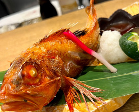 Dinner at 北区 (大阪市)