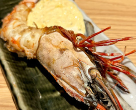 Dinner at 肉と炉端と釜飯 くろ屋 難波店