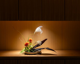 Dinner at 日本料理 FUJI