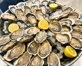 Dinner at Huitrerie Regis
