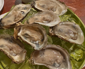 Dinner at The Oyster Bar Columbia